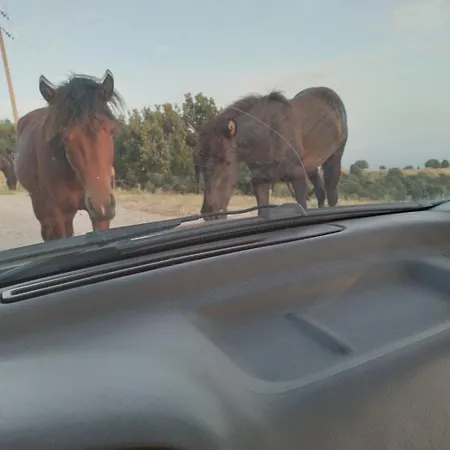 Pensionat Archontiko Fotini - Traditional Meteora *