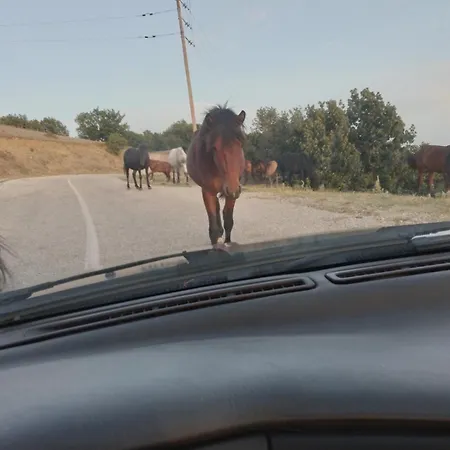 Pensionat Archontiko Fotini - Traditional Meteora Kalampaka